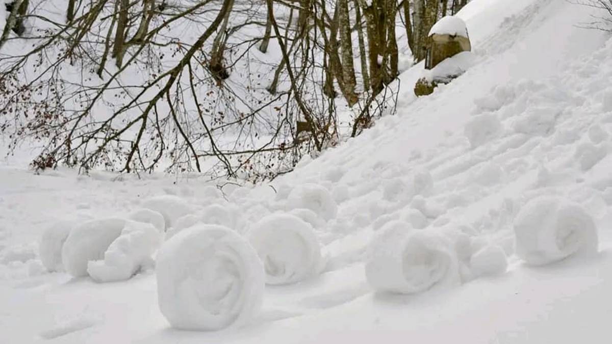 Ruote di neve naturali: gli snow roller creati dal vento sul Fumaiolo