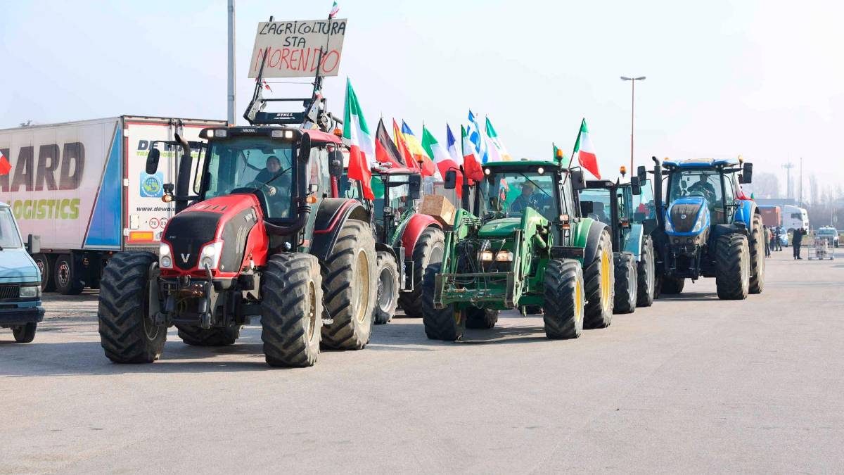 “I tagli previsti ai “Pac” minano l’agricoltura sia a Cesena che in Romagna”