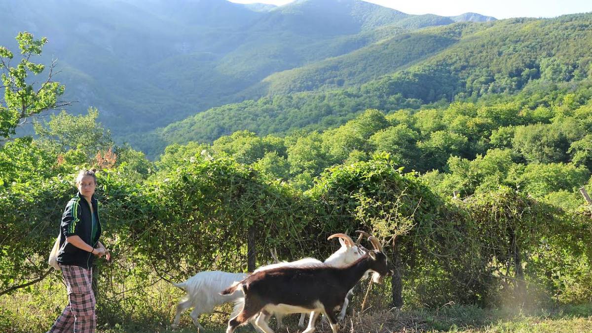 Scuola per pastori Foreste casentinesi: selezionati 8 partecipanti che vogliono cambiare vita