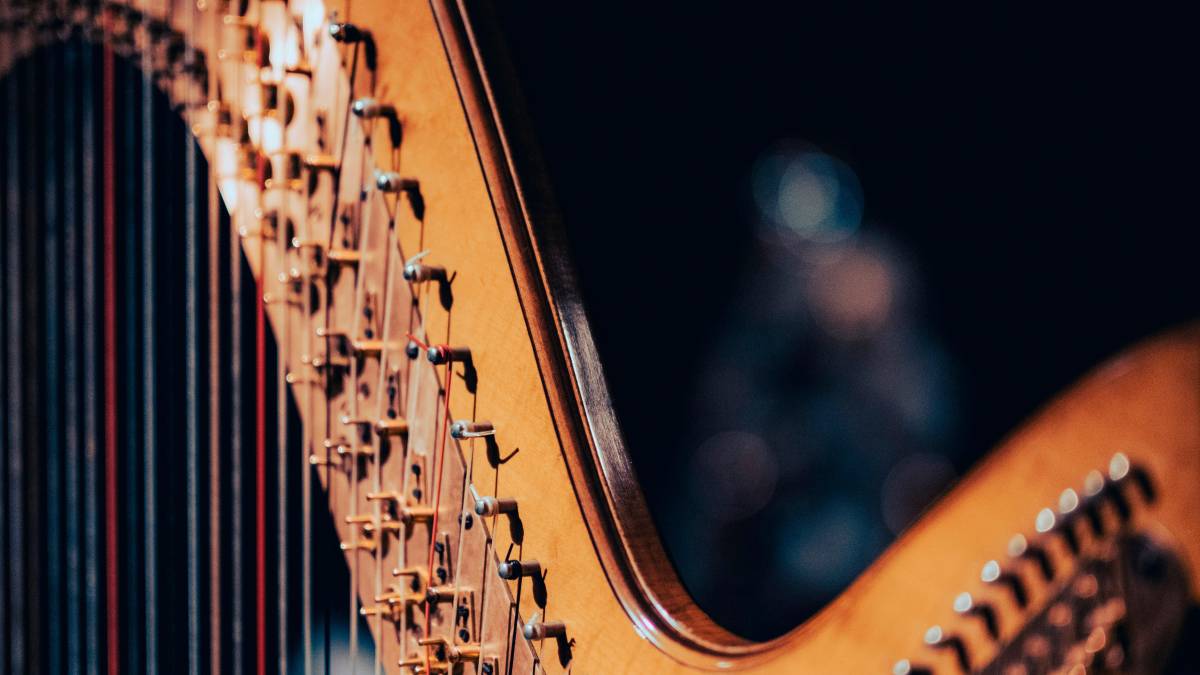 Imola, la musica come medicina dell’anima: la cultura entra nei luoghi di cura