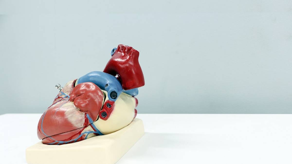 Trapiantato con successo un cuore che era fermo da oltre venti minuti: supporto dai professionisti di Cesena e Ravenna