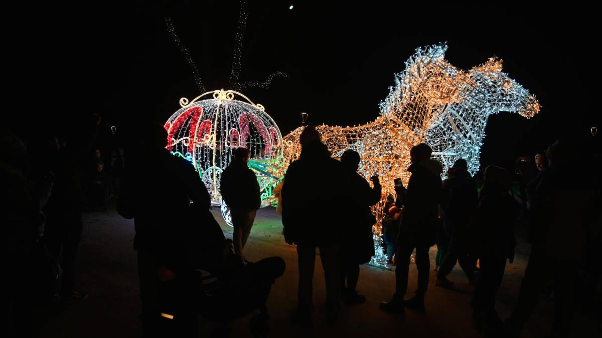 Forlì. Accesi i “Giardini di luce” - Gallery