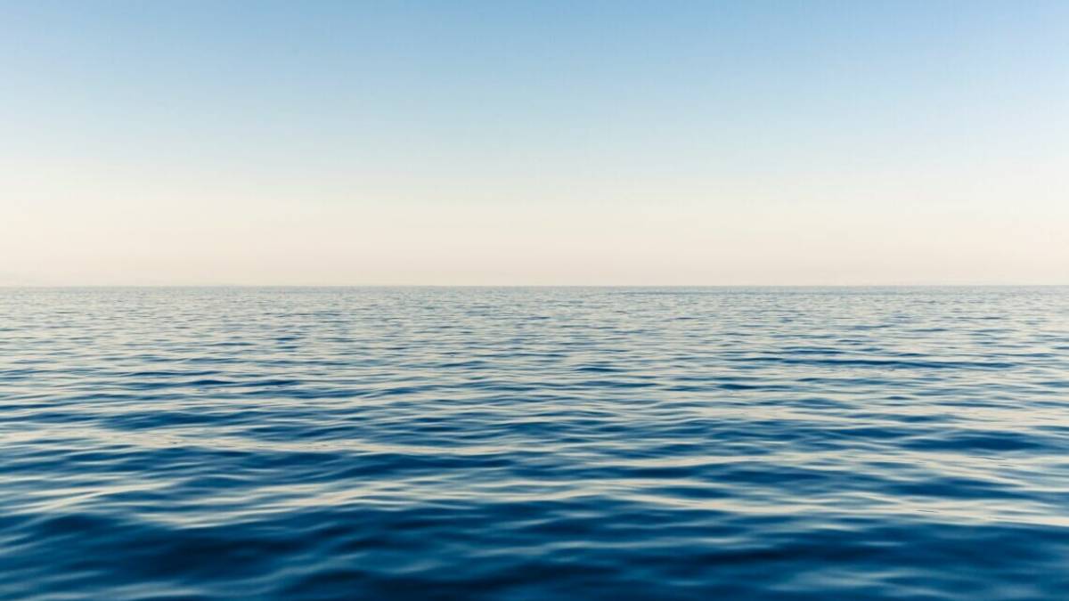 Fregni. La prospettiva di chi si innamora del mare