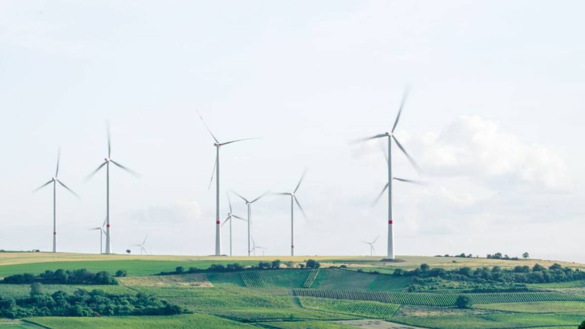 Natalini. Transizione energetica tra ipocrisie e ritardi