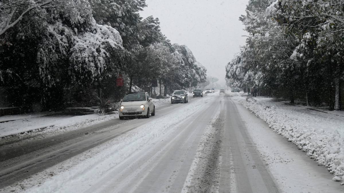Forlì sotto la neve, scuole chiuse mercoledì 7 gennaio FOTOGALLERY