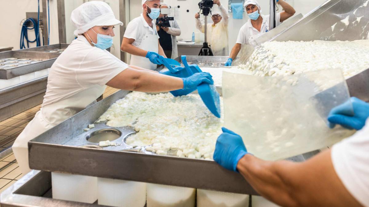 Cesena: sos aumenti tra latte e formaggi