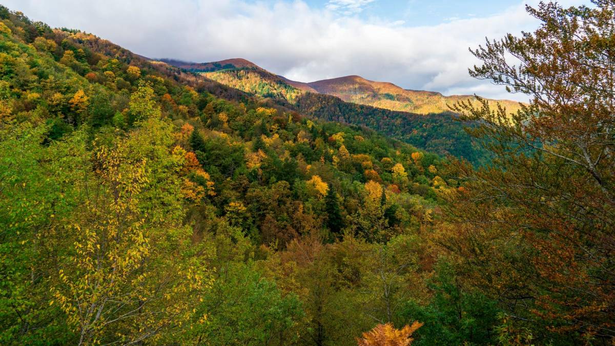 Bagno di Romagna, Torna il Festival Fall Foliage: il fine settimana che celebra colori e sapori dell’autunno