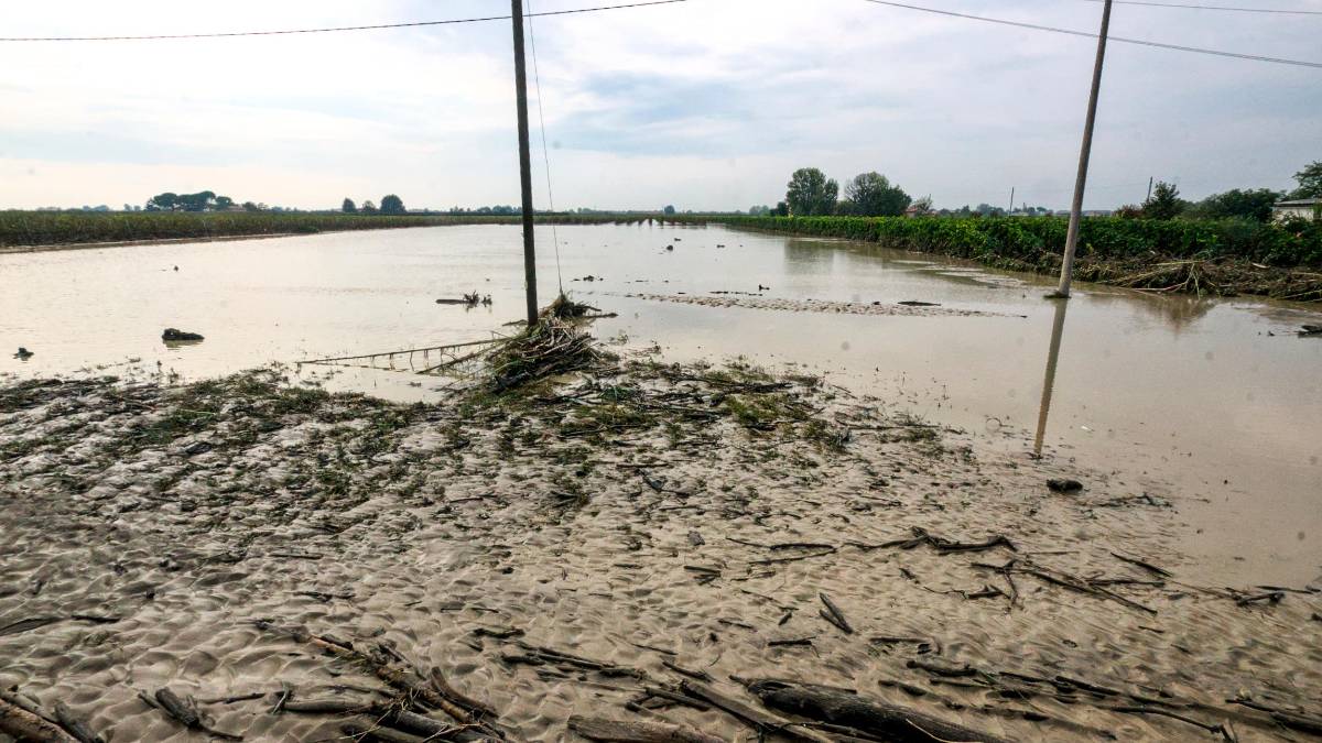 Faenza, “Il mio terreno devastato dall’alluvione, ma in due anni non ho visto un euro”