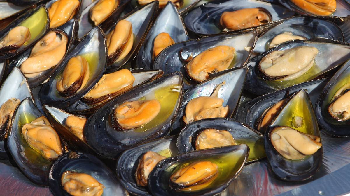 A Marina di Ravenna torna la Festa della Cozza