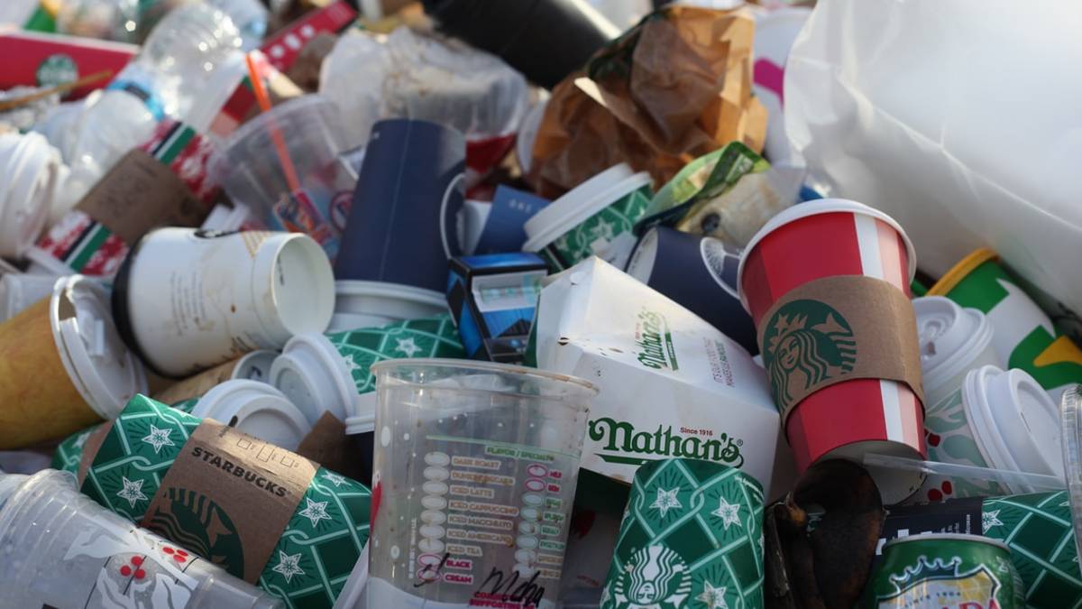 Forlimpopoli, 26 multe per abbandono di rifiuti