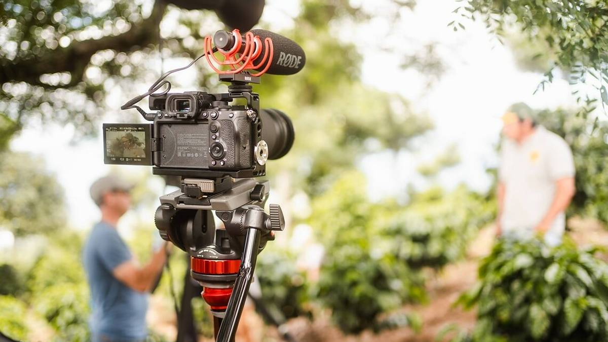Cna Forlì-Cesena, corso gratuito dal tema Web documentary tra cultura territorio e interattività