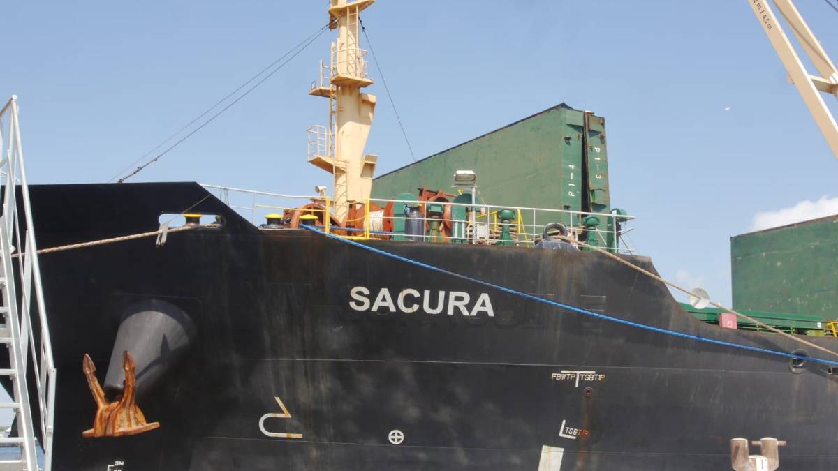 Ravenna, ecco la seconda nave dall'Ucraina con carico di soia VIDEO