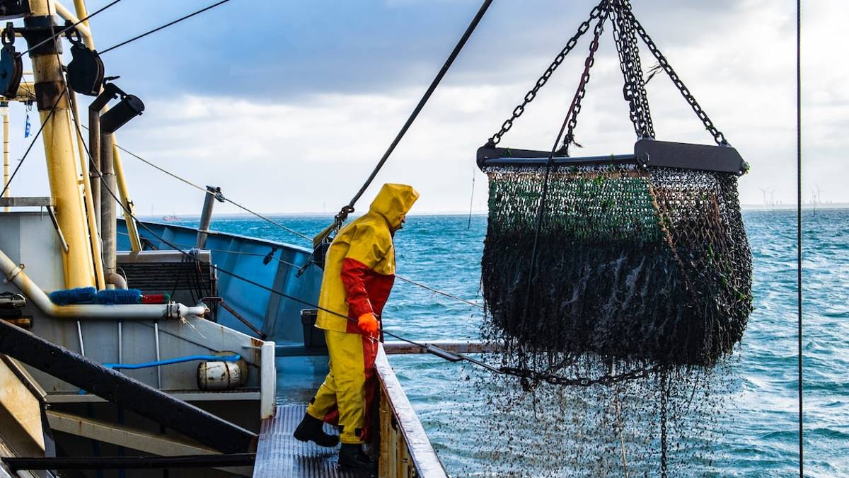 Rigassificatore a Ravenna, i pescatori: Pronti a un presidio in Regione