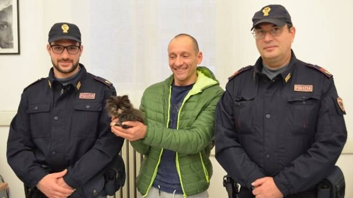Forlì, rubano gattina: incastrate su Facebook