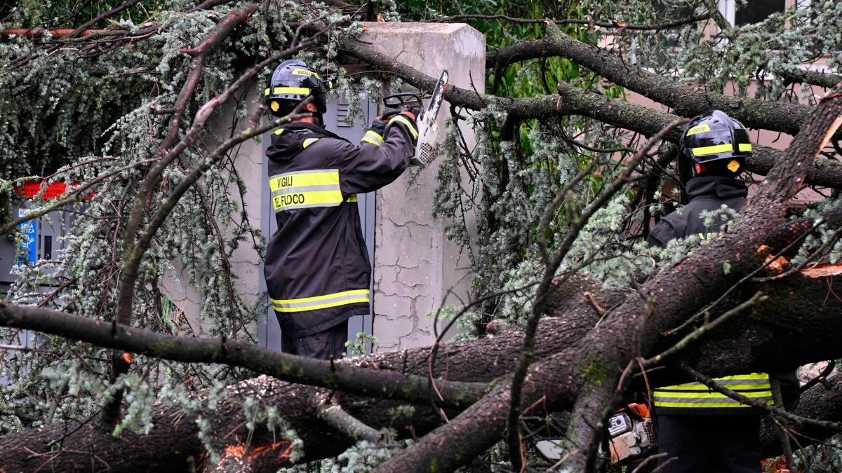 Nubifragio a Forlì: una strage di alberi e rami caduti, chiusi parchi e giardini pubblici FOTOGALLERY