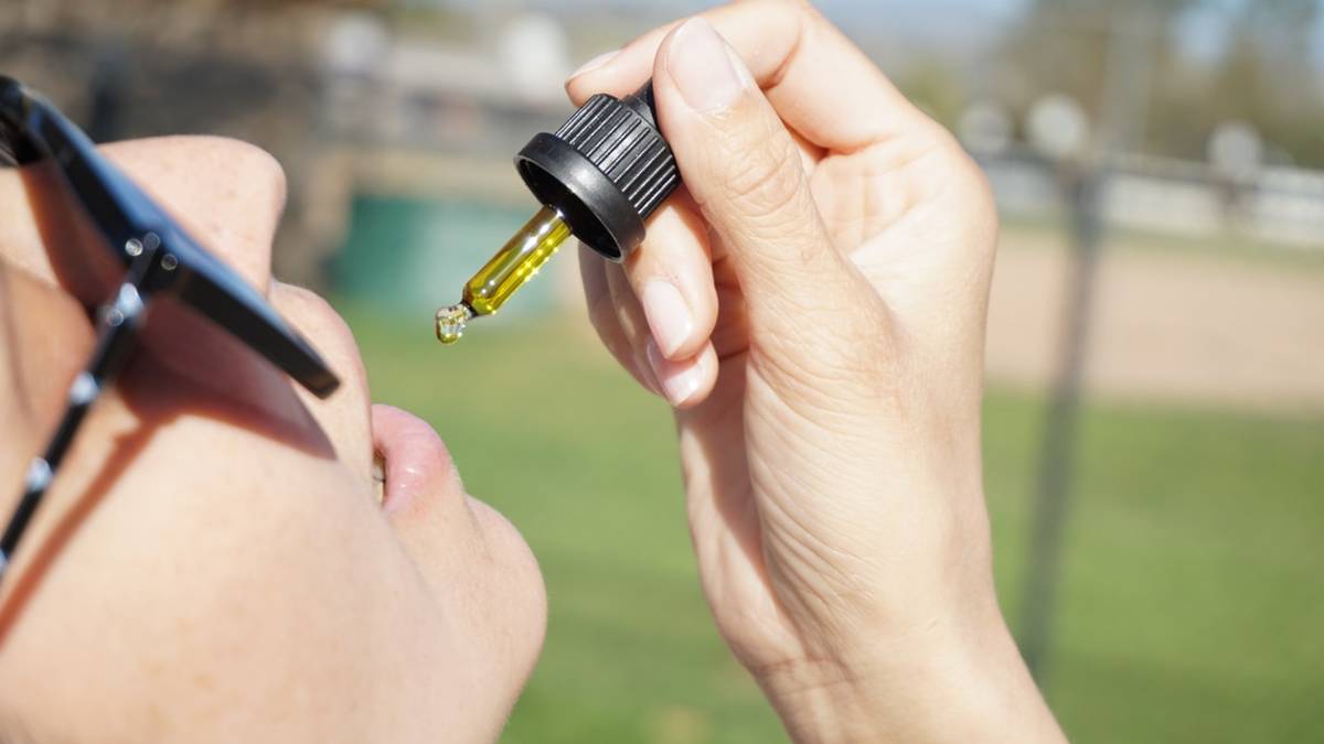 Le migliori infiorescenze CBD le trovi da loro