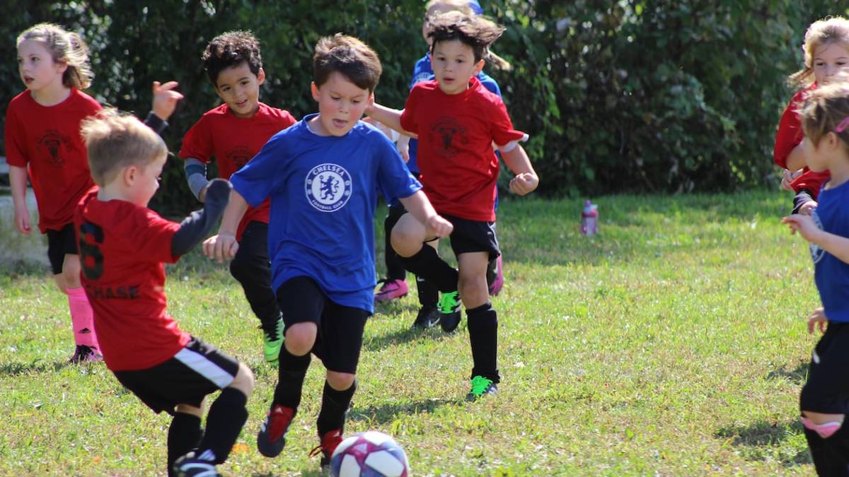 Un'ora di educazione fisica la settimana per tutti i bambini della scuola primaria: l'iniziativa dell'Emilia-Romagna