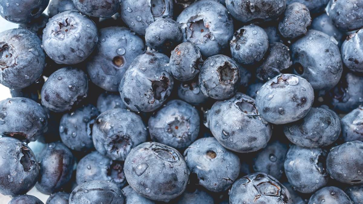 Coltivazioni di piccoli frutti: quali possibilità per i mirtilli?