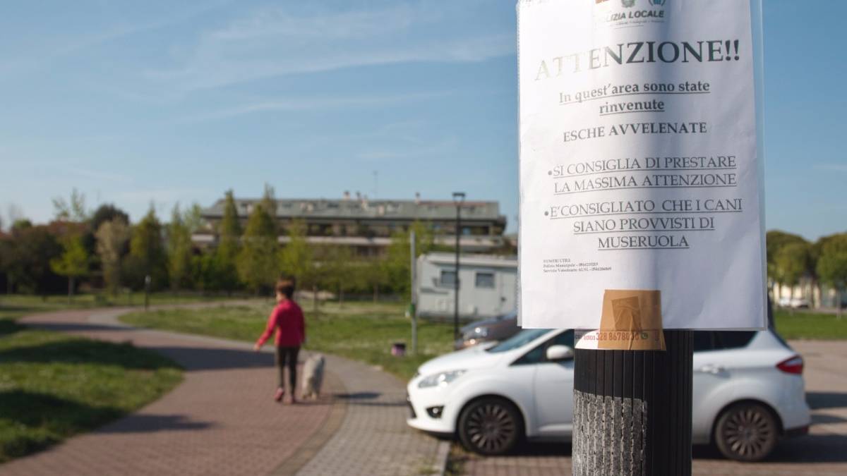 Ravenna, cane mangia boccone avvelenato al parco di via Monsignor Lanzoni