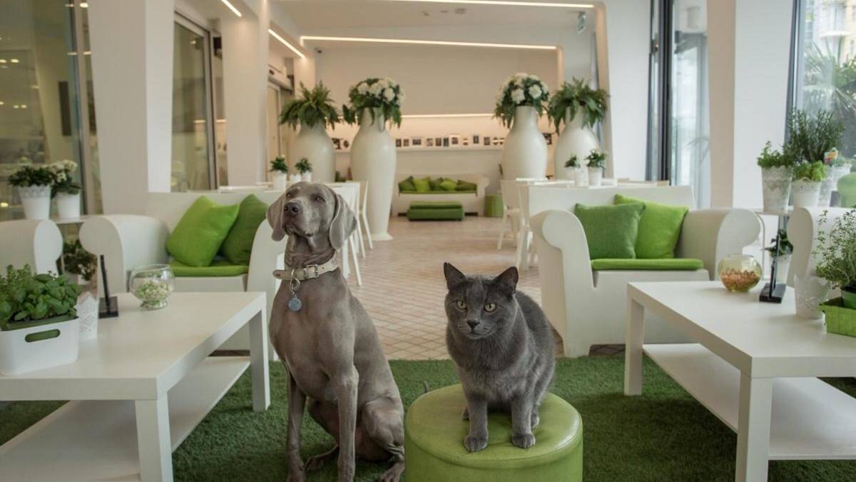 Hotel Principe Rimini, una vacanza splendida anche per il tuo amico a quattro zampe