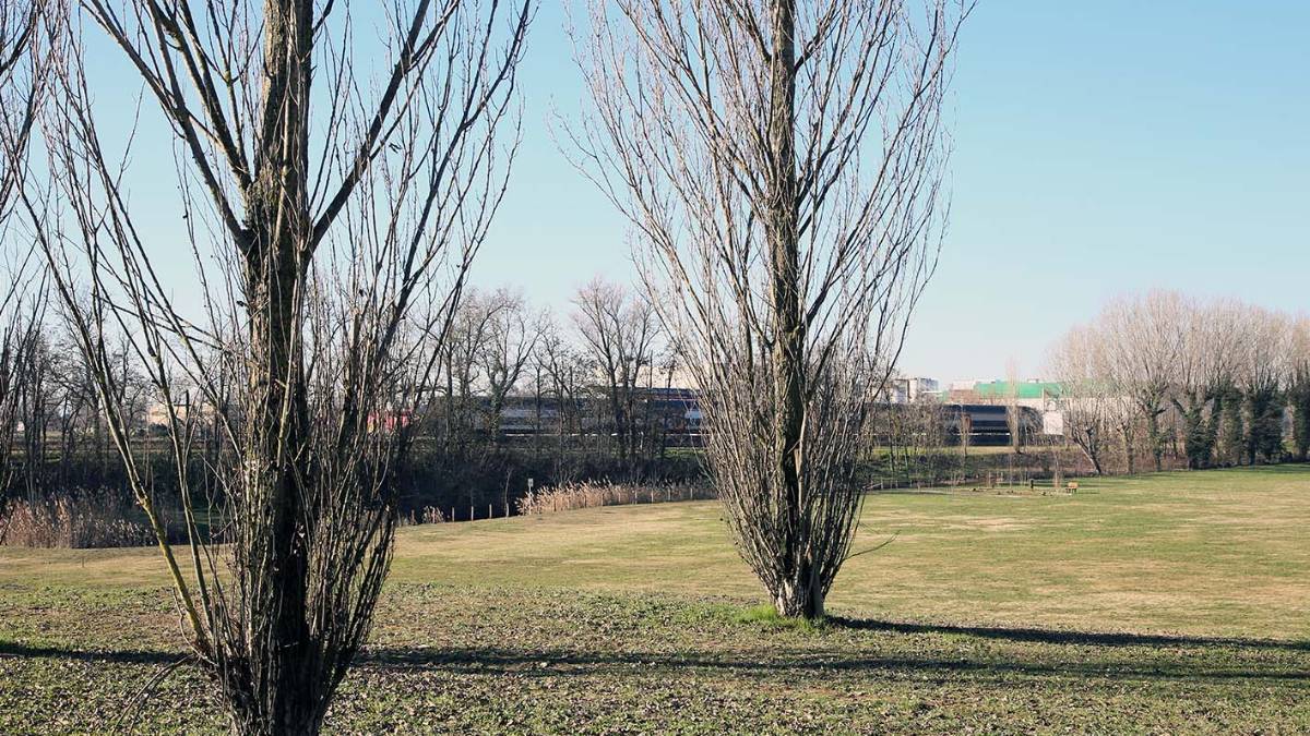 Bagnacavallo, lavori all'area verde Redino