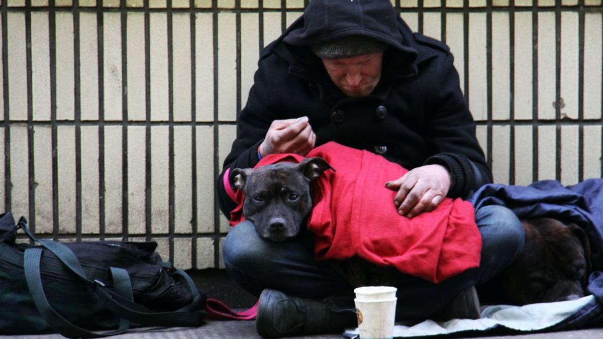 Cesena, il piano freddo per accogliere chi non ha un posto per dormire
