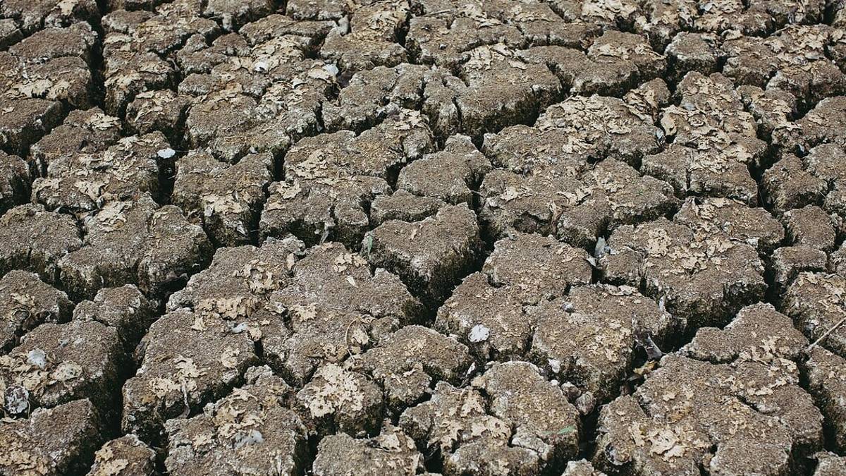 Emergenza climatica. La Coldiretti: In Italia addio a un frutto su quattro