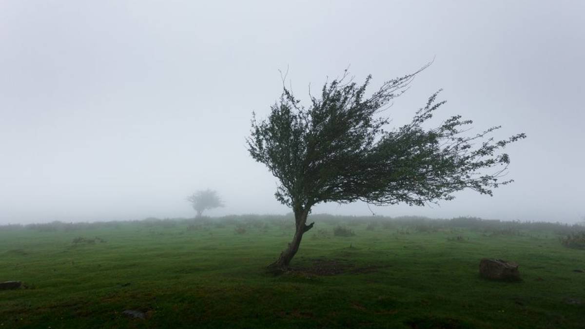 Ravenna, allerta meteo per il vento
