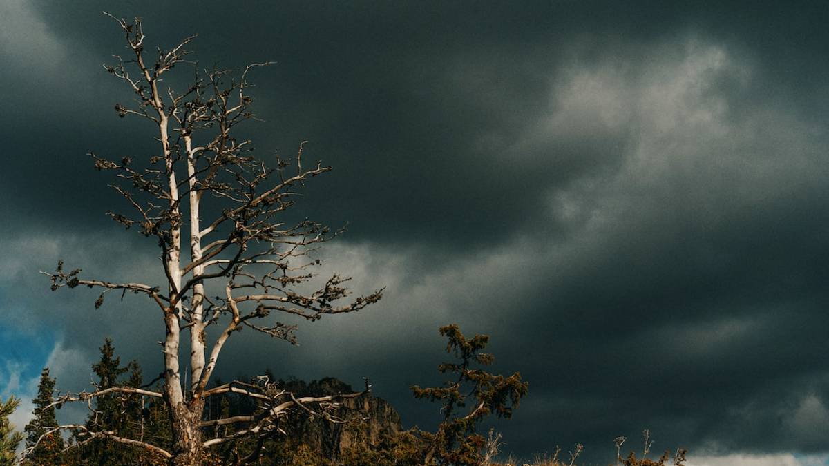 Maltempo in Romagna, il meteorologo: Limitiamo gli spostamenti