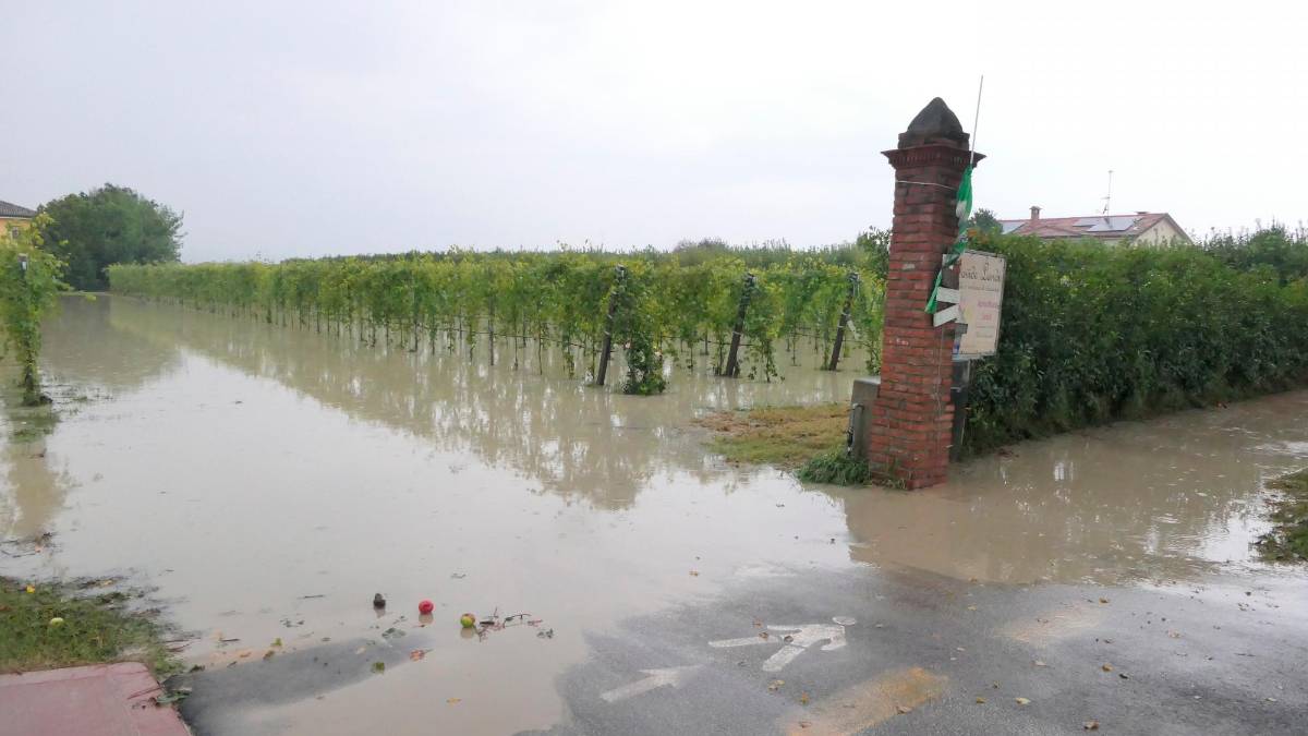 Imola e circondario, calcolo dei danni in corso i Comuni che hanno affidato la ricostruzione a Sogesid per il 2023: «Aspettiamo ancora»