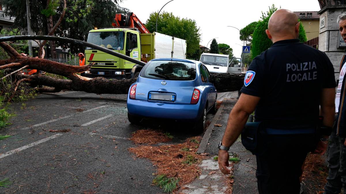 Nubifragio a Forlì: una strage di alberi e rami caduti, chiusi parchi e giardini pubblici FOTOGALLERY