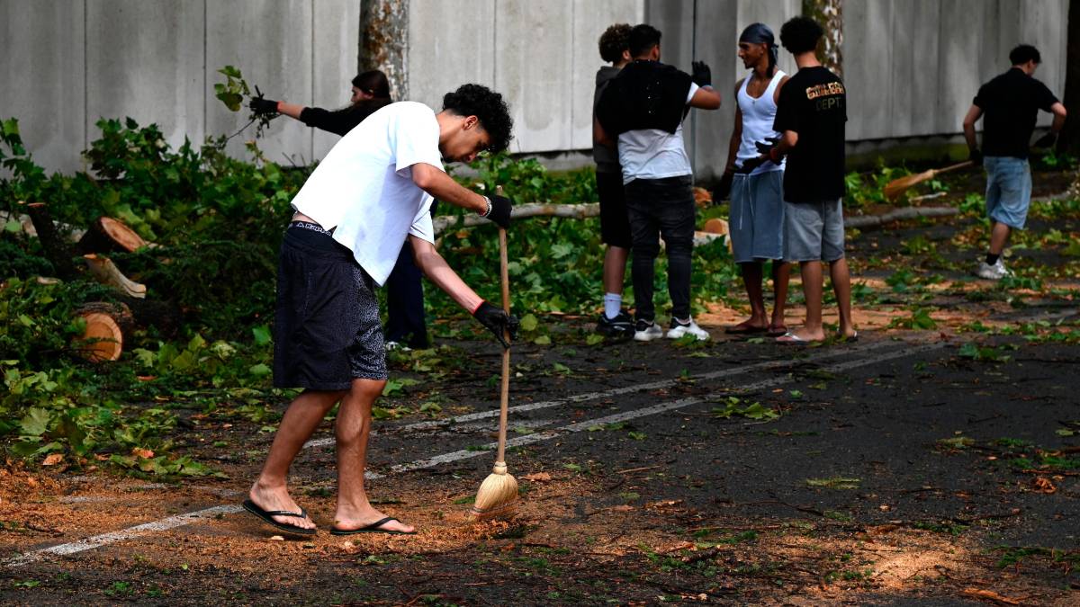 Nubifragio a Forlì: una strage di alberi e rami caduti, chiusi parchi e giardini pubblici FOTOGALLERY