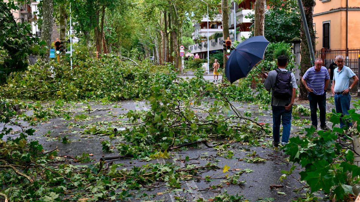 Nubifragio a Forlì: una strage di alberi e rami caduti, chiusi parchi e giardini pubblici FOTOGALLERY