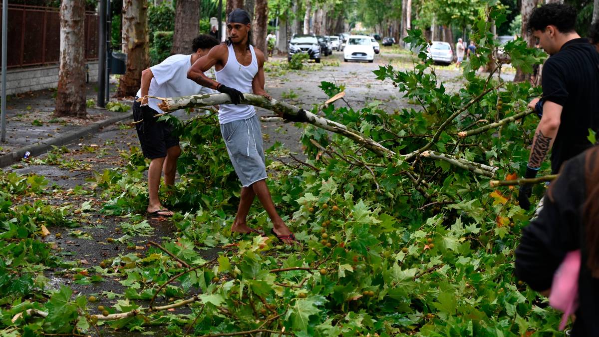 Nubifragio a Forlì: una strage di alberi e rami caduti, chiusi parchi e giardini pubblici FOTOGALLERY