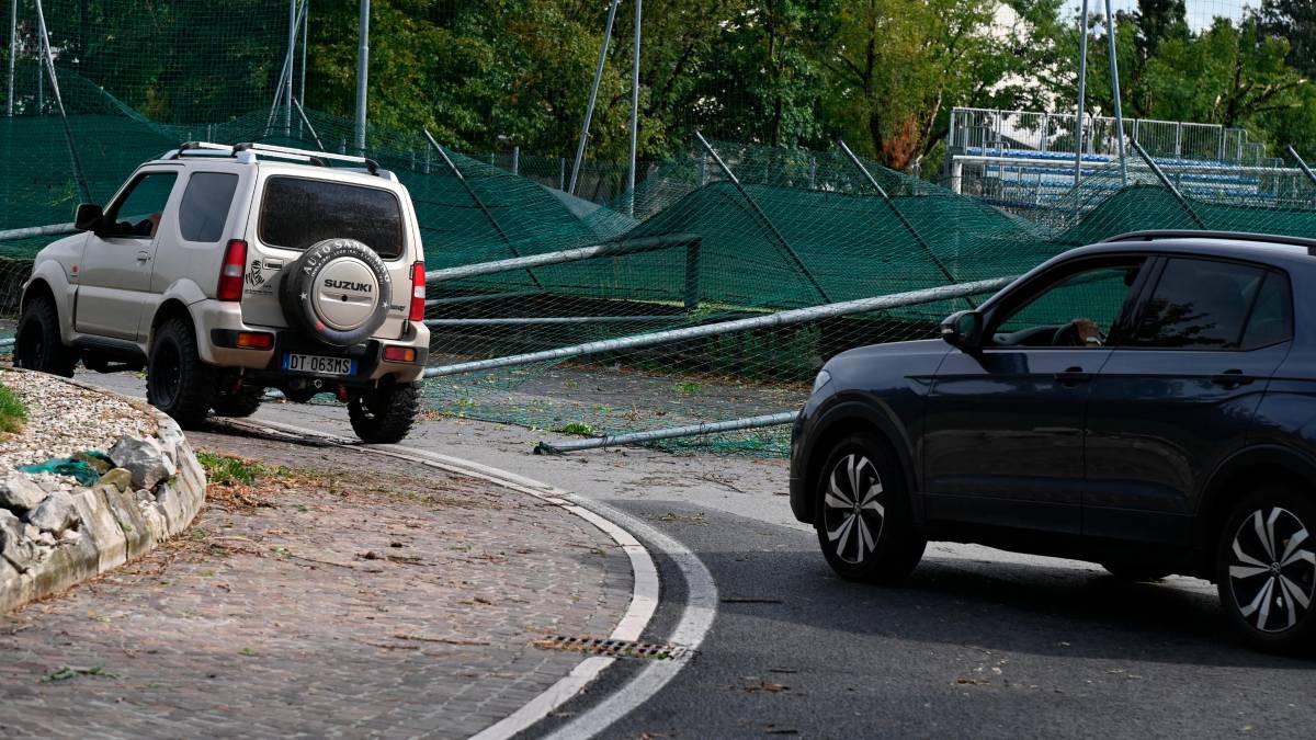 Nubifragio a Forlì: una strage di alberi e rami caduti, chiusi parchi e giardini pubblici FOTOGALLERY