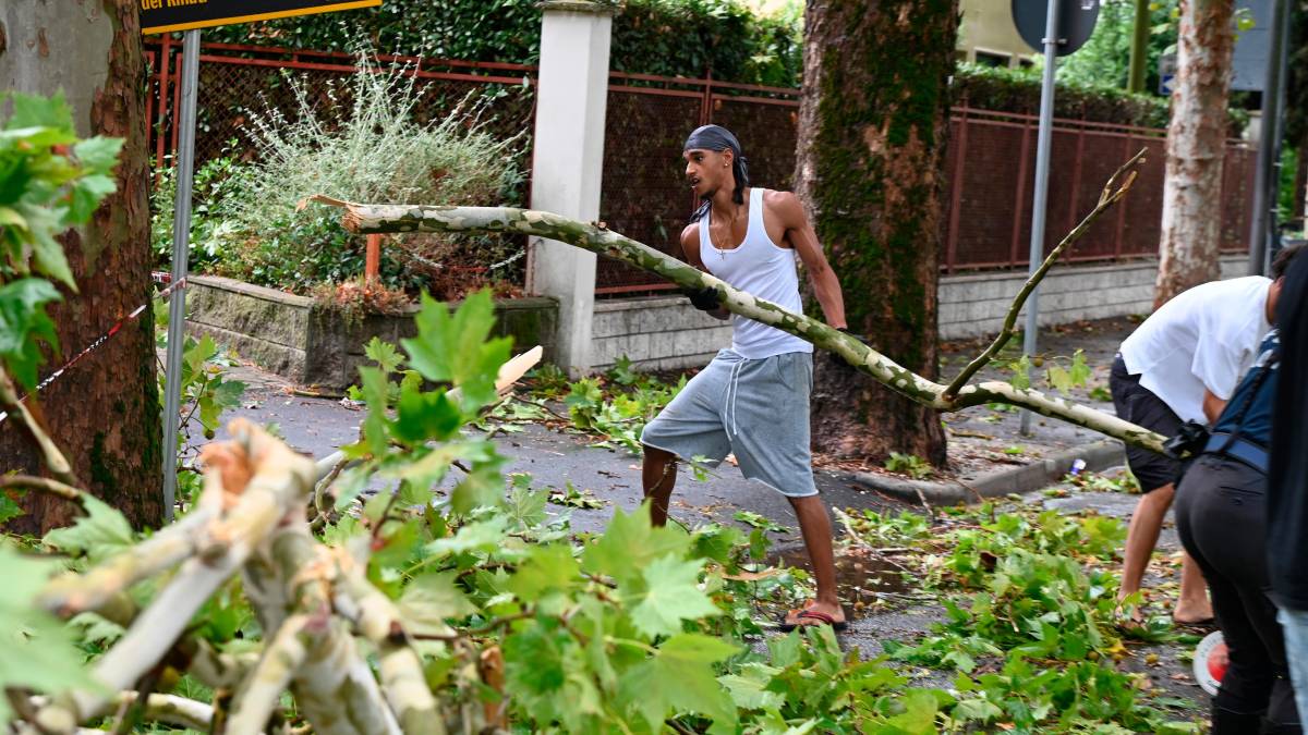 Nubifragio a Forlì: una strage di alberi e rami caduti, chiusi parchi e giardini pubblici FOTOGALLERY