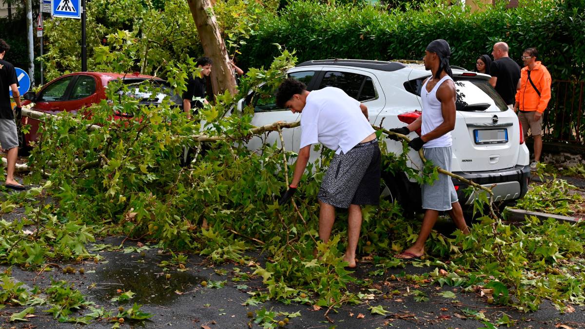 Nubifragio a Forlì: una strage di alberi e rami caduti, chiusi parchi e giardini pubblici FOTOGALLERY