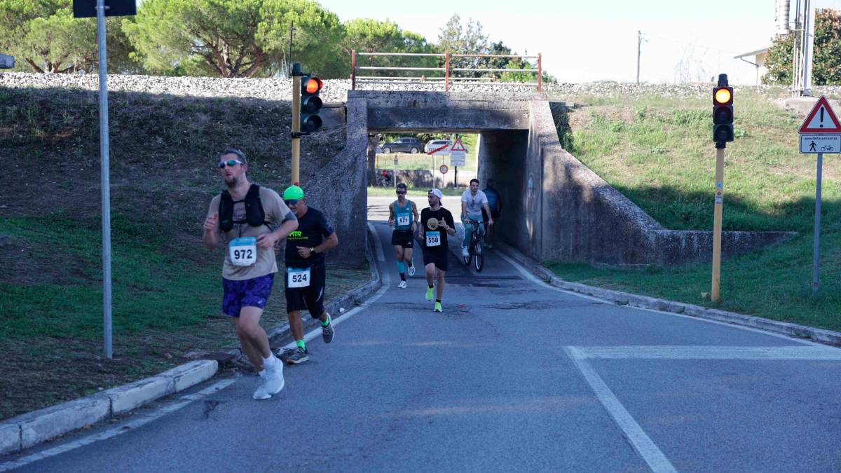 Maratona Alzheimer: in 4.500 alla corsa e alla marcia solidale da Cesena a Cesenatico