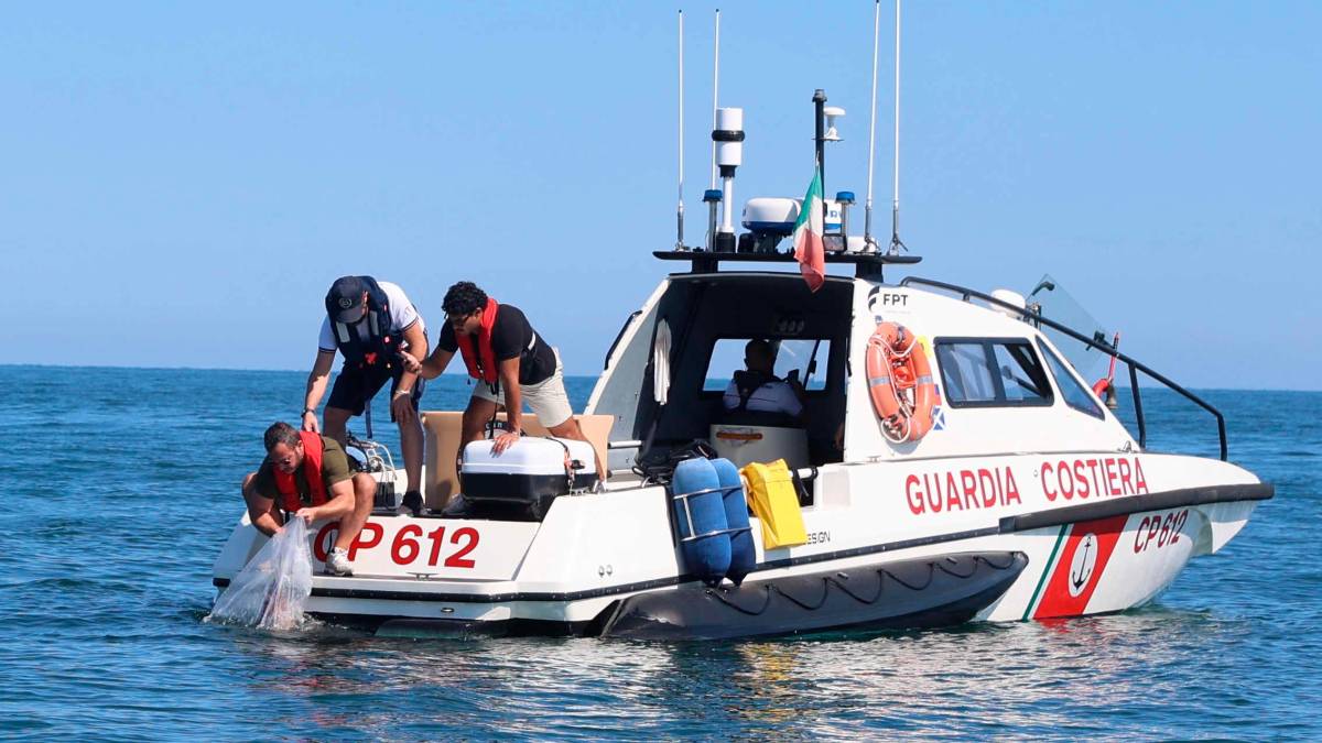 Cesenatico, scatta il progetto “Octo-Blu”: la Regione e l’Ateneo schierano il polpo contro il granchio alieno VIDEO e FOTOGALLERY