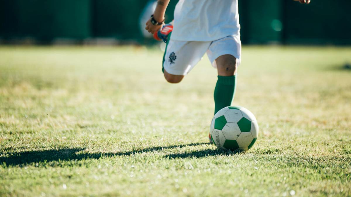 Stage gratuiti di calcio e basket della Compagnia dell'Albero