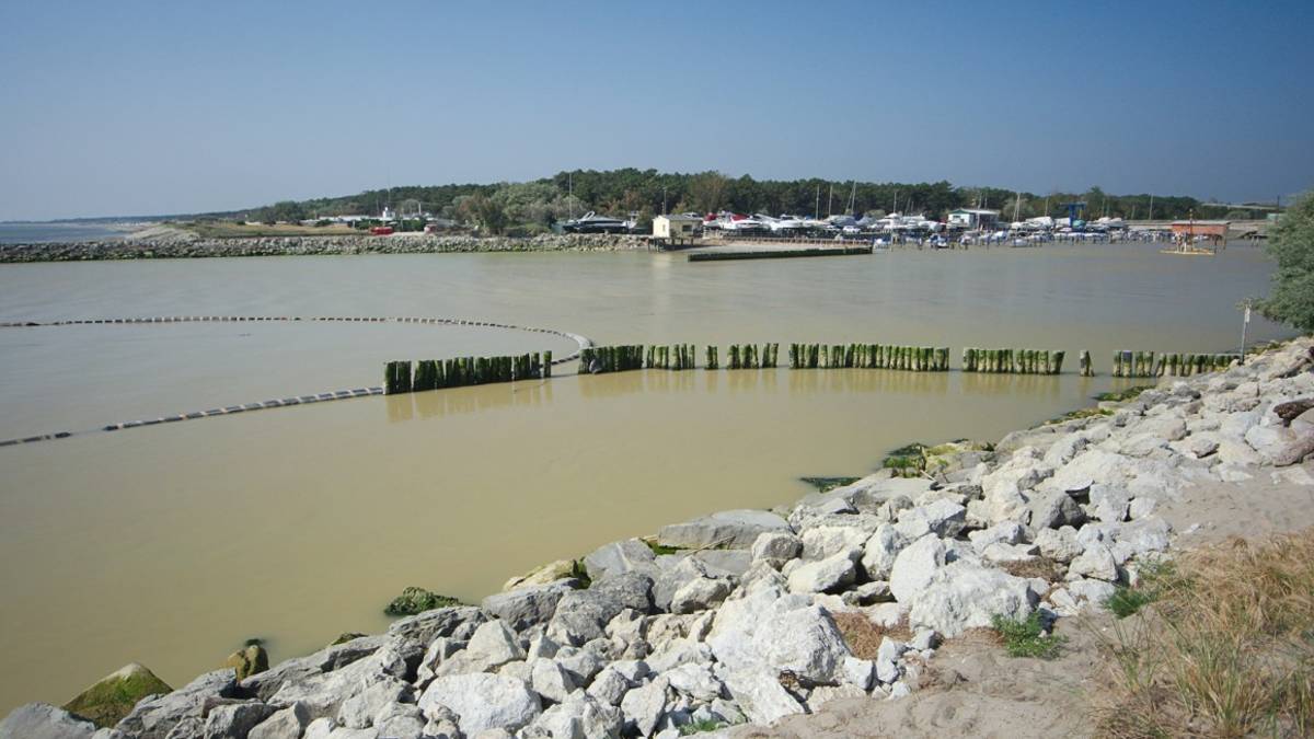 Ravenna, la fiumana porta di tutto in mare - Gallery