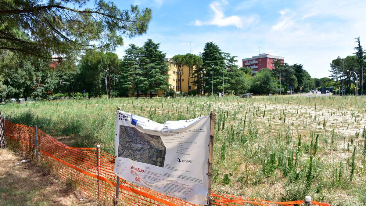 L’area Gullace con le erbacce cresciute nei mesi trascorsi (foto mmph)