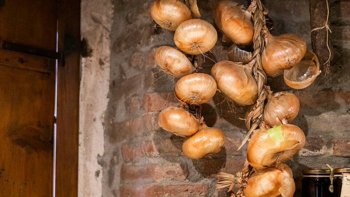 La cipolla dell'acqua che piace agli chef