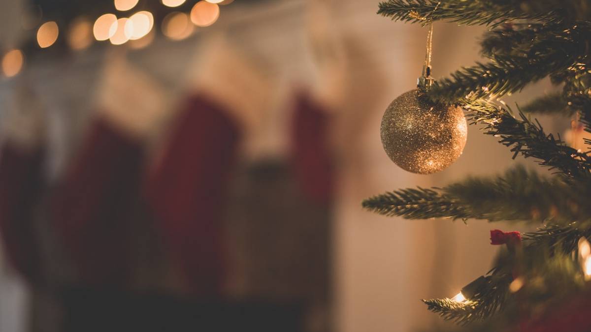 Il questore di Forlì-Cesena: Qui si denuncia anche il furto di una pallina di Natale