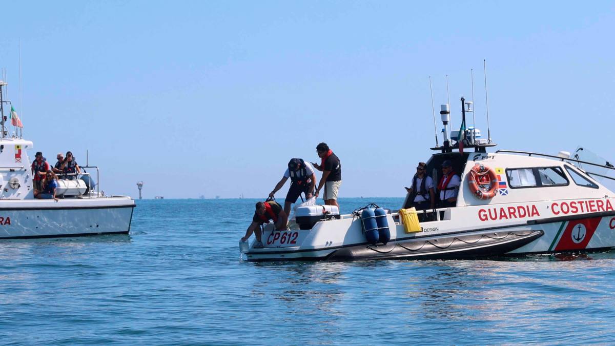 Cesenatico, scatta il progetto “Octo-Blu”: la Regione e l’Ateneo schierano il polpo contro il granchio alieno VIDEO e FOTOGALLERY