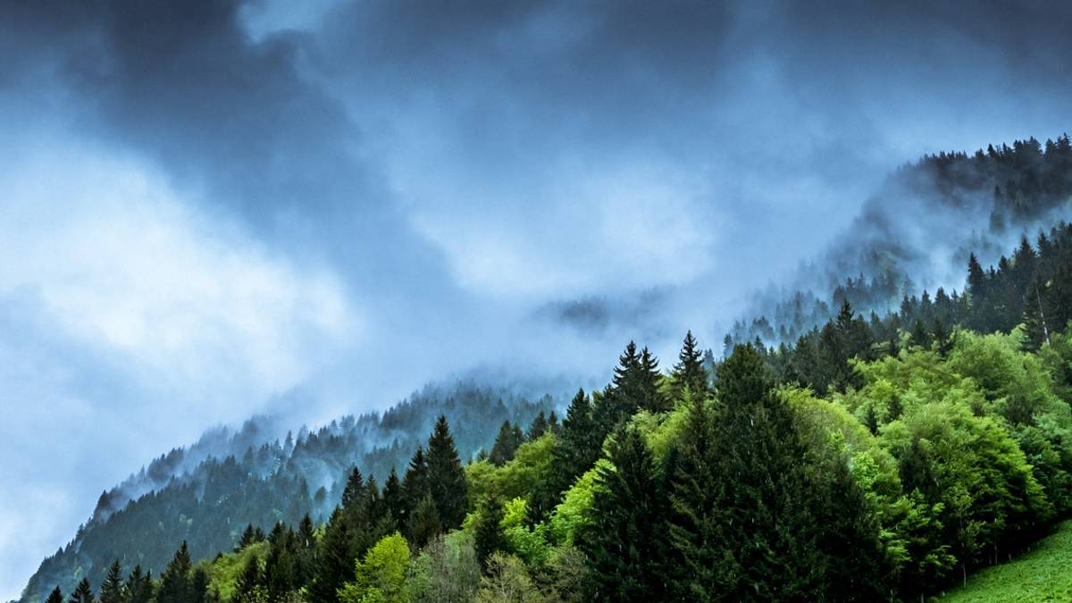 L’ambiente? È roba da ricchi: cresce la povertà energetica