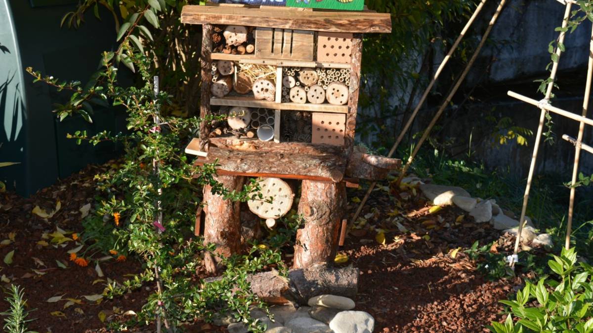 San Piero in Bagno: ecco il bug hotel, l'albergo per gli insetti nell'oasi degli impollinatori