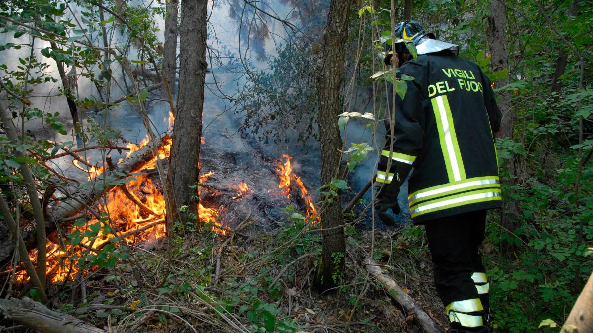 Un Vigile del Fuoco impegnato in un incendio nel bosco