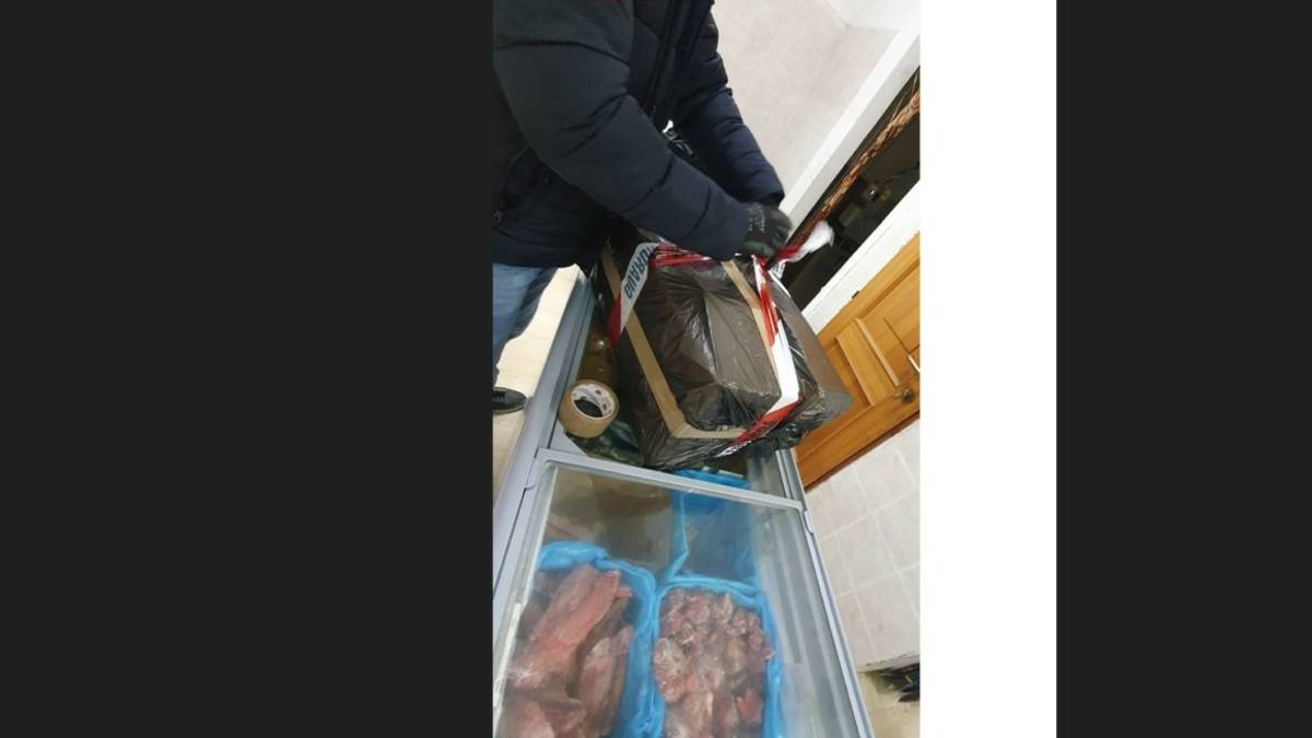 La Guardia Costiera sequestra 750 chili di pesce non a norma da Goro a Cattolica: multe per 52mila euro