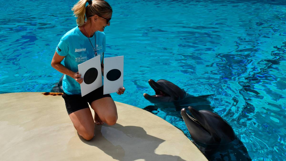 Paola Righetti, biologa e trainer del parco